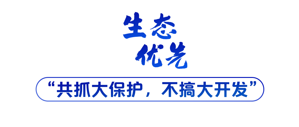學習關(guān)鍵詞丨聽，長江經(jīng)濟帶高質(zhì)量發(fā)展“協(xié)奏曲”