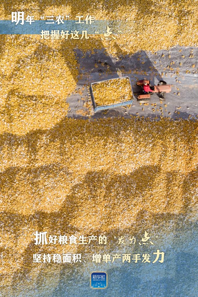 明年“三農(nóng)”工作，這幾個(gè)“點(diǎn)”要把握好