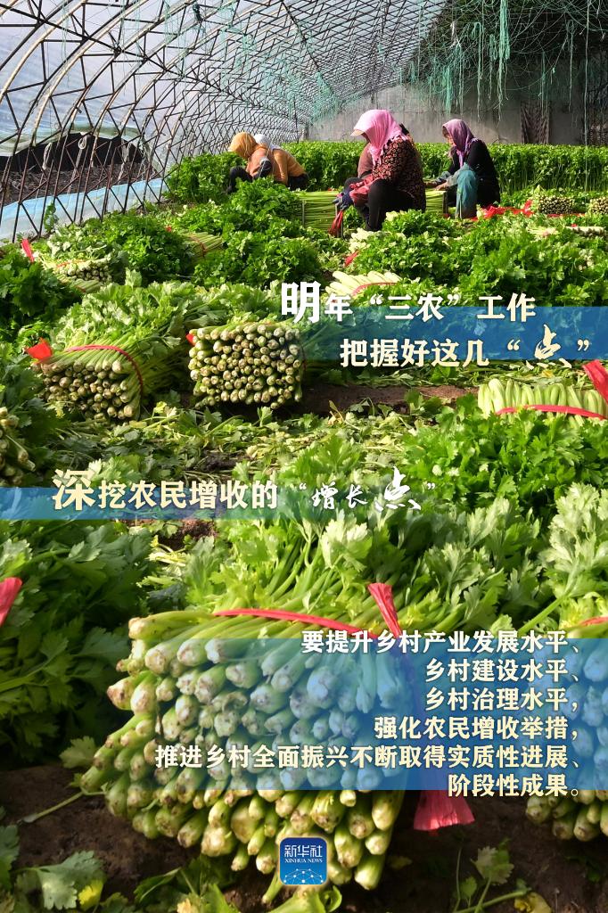 明年“三農(nóng)”工作，這幾個(gè)“點(diǎn)”要把握好