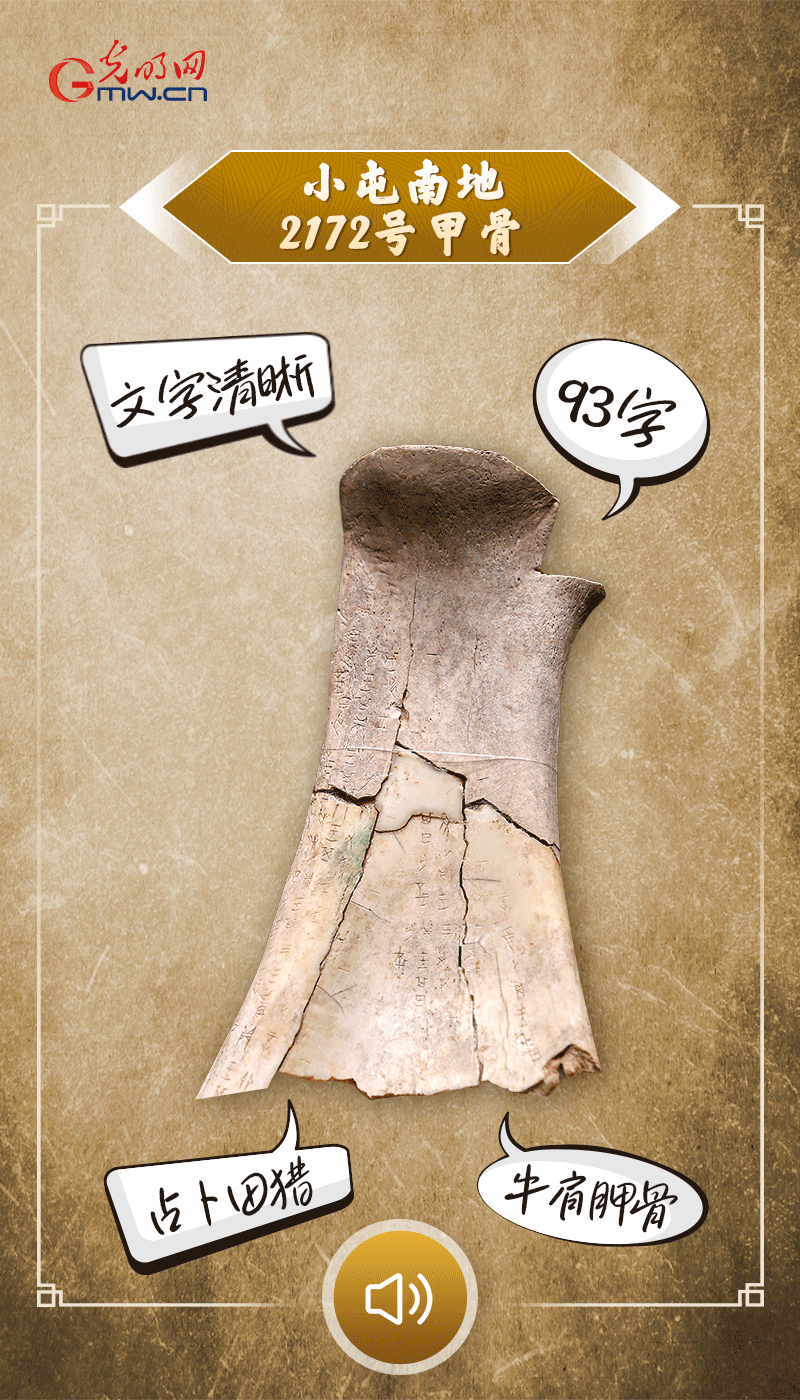 文物會(huì)說(shuō)話 | 殷墟博物館新館開(kāi)館啦，帶你奔赴“千年之約”