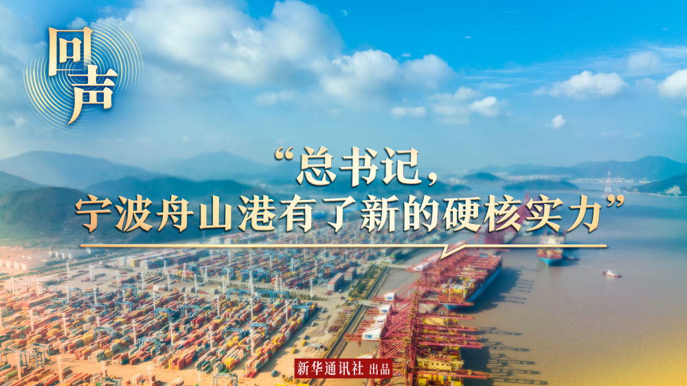 回聲｜“總書記，寧波舟山港有了新的硬核實(shí)力”