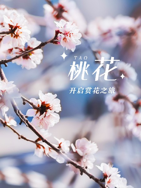 追花指南第三期！別等了 今天就去和桃花撞個滿懷
