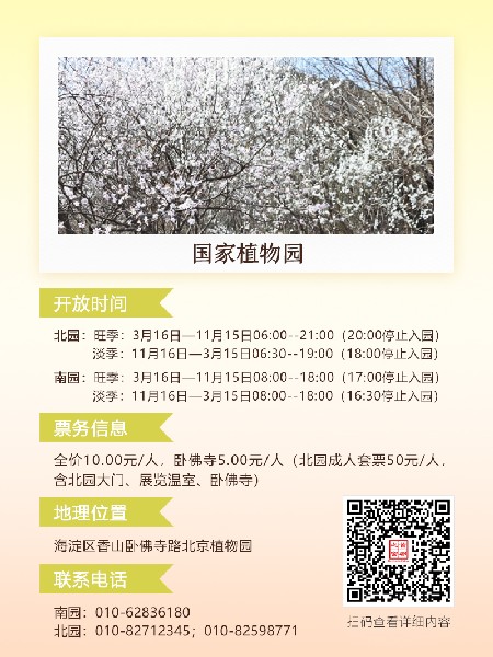 追花指南第六期！杏花雨 楊柳風(fēng) 北京最美的杏花在這里