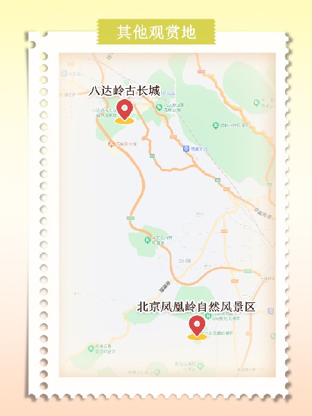 追花指南第六期！杏花雨 楊柳風(fēng) 北京最美的杏花在這里