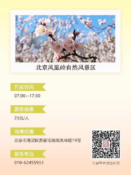 追花指南第六期！杏花雨 楊柳風(fēng) 北京最美的杏花在這里