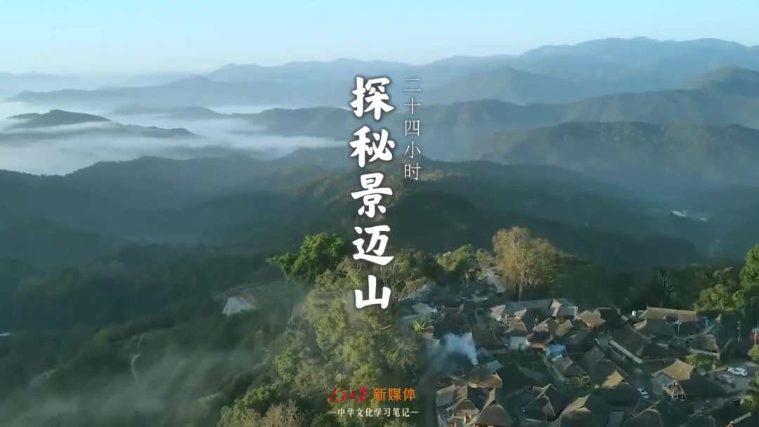 景邁山是個什么山？航拍云南普洱森林里的世界遺產(chǎn)