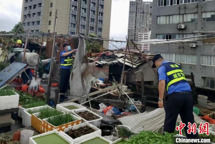 在一處居民樓屋頂，城管隊(duì)員拆除“空中菜園”?！〗疖?攝