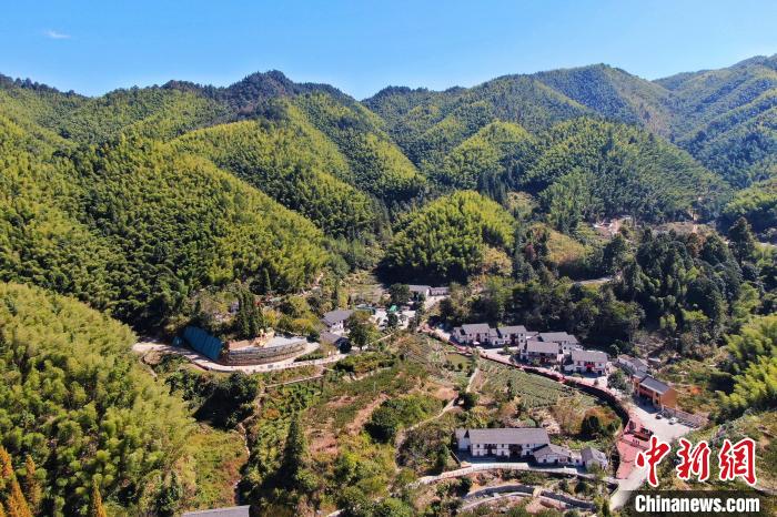 航拍江西井岡山市神山村，青山環(huán)繞，風景秀美。　劉力鑫 攝