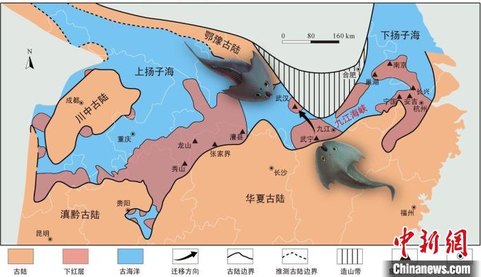 華南地區(qū)志留紀早期古地理圖和盔甲魚類化石產地(山顯任改自陳旭、戎嘉余，1996；戎嘉余等，2012) 中科院古脊椎所 供圖