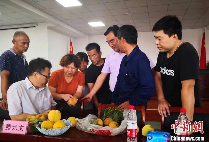 民進浙江省委會為三里橋黃桃種植戶送技術、送指導?！〖紊平y(tǒng)戰(zhàn) 供圖