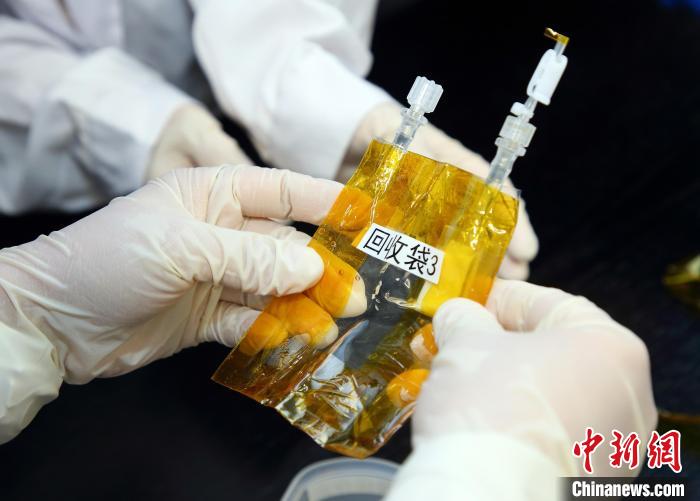 隨神舟十五號(hào)返回地面的空間科學(xué)實(shí)驗(yàn)樣品。　中科院空間應(yīng)用中心 供圖