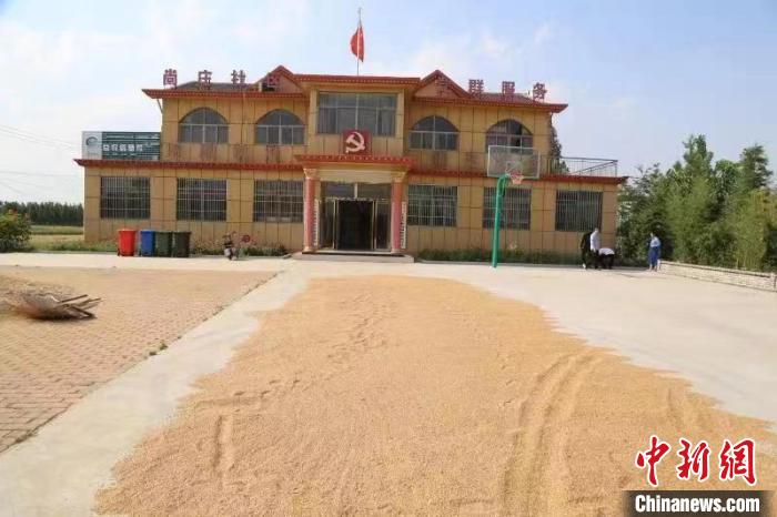 農(nóng)民在邳莊鎮(zhèn)尚莊村黨群服務(wù)中心大院里曬糧?！≠Z萌 攝