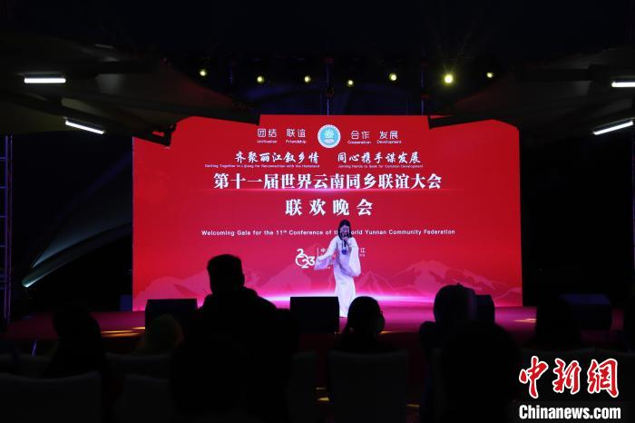 圖為第十一屆世界云南同鄉(xiāng)聯(lián)誼大會舉辦聯(lián)歡晚會?！〈抻澜?攝
