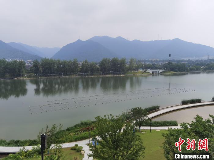 兩岸媒體共探杭州亞運會“綠”在何處？