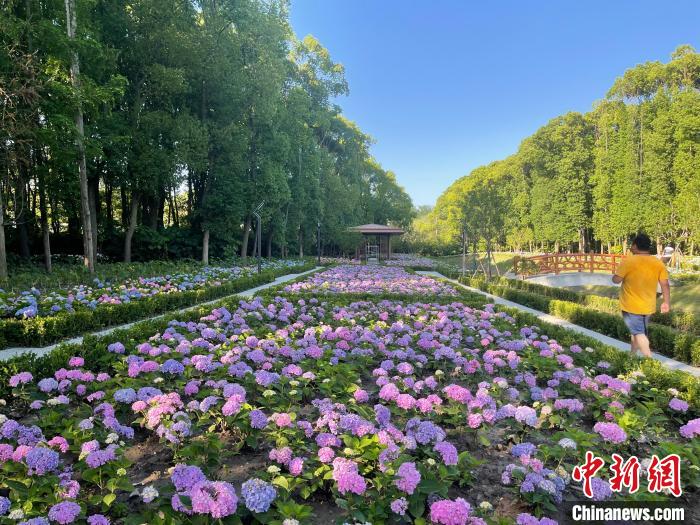 納民意、匯民智上海努力讓“公園城市”建設(shè)真正“合民心”