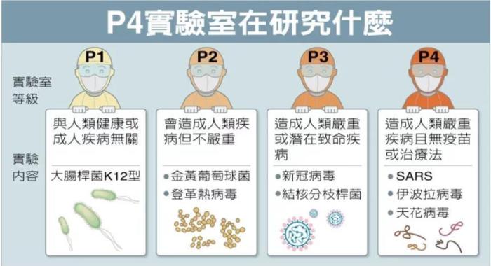 P4實驗室在研究什么。臺灣聯(lián)合新聞網(wǎng)資料圖