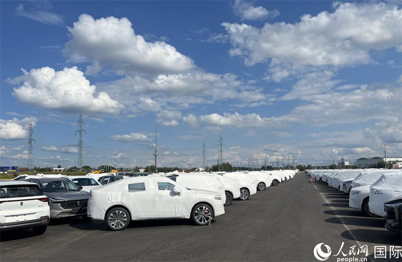 莫斯科別雷拉斯特物流中心內(nèi)的中國品牌汽車。人民網(wǎng)記者 申佳平攝
