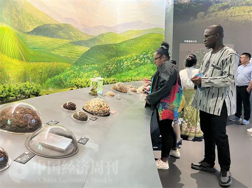   （在中國藥都中醫(yī)藥博物館，外媒記者了解中醫(yī)藥發(fā)展史。中國經(jīng)濟周刊記者 郭志強 攝）