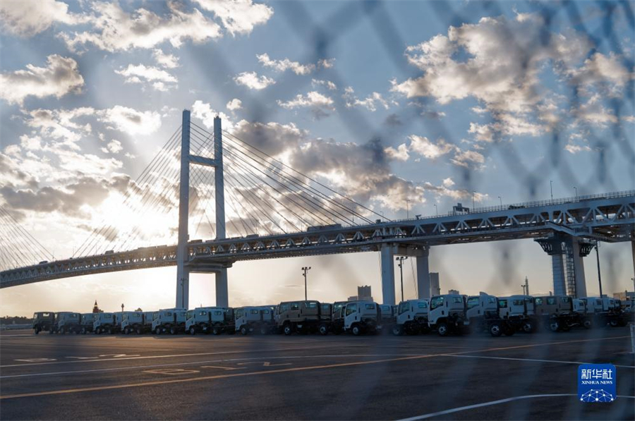 這是11月14日在日本橫濱拍攝的進(jìn)出口汽車集散場(chǎng)地。新華社記者 張笑宇 攝