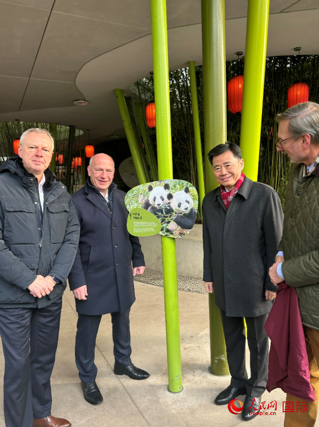 中國(guó)駐德國(guó)大使吳懇（右二）、柏林市長(zhǎng)韋格納（左二）、動(dòng)物園園長(zhǎng)克尼里姆（右一）和監(jiān)事會(huì)主席布魯克曼（左一）共同為“夢(mèng)想”“夢(mèng)圓”大熊貓紀(jì)念牌揭幕。人民網(wǎng)記者 徐馨攝