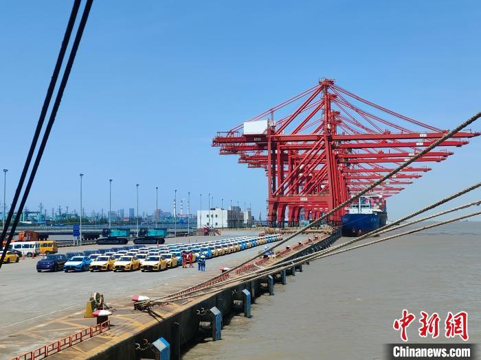 資料圖：國(guó)產(chǎn)新能源車在上海外高橋港區(qū)海通碼頭“整裝待發(fā)”?！∑址?攝