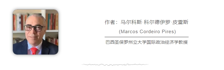 巴西學者：俄烏、巴以沖突再次暴露美西方“雙標”本質