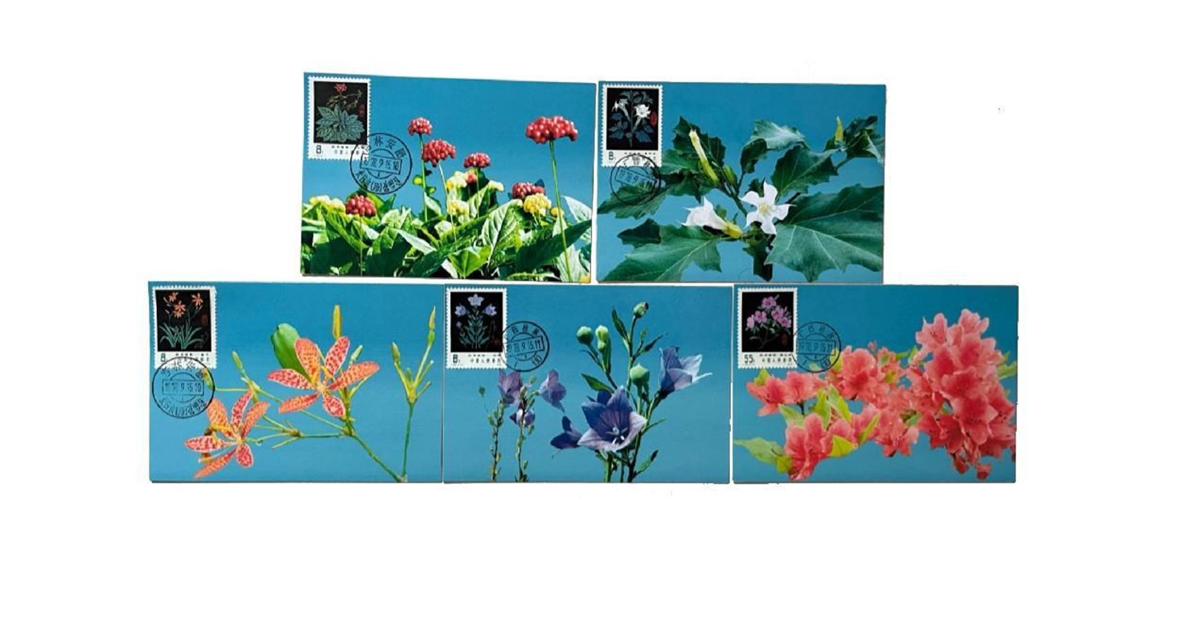 首套藥用植物極限片。第七屆阿聯(lián)酋集郵展主辦方供圖