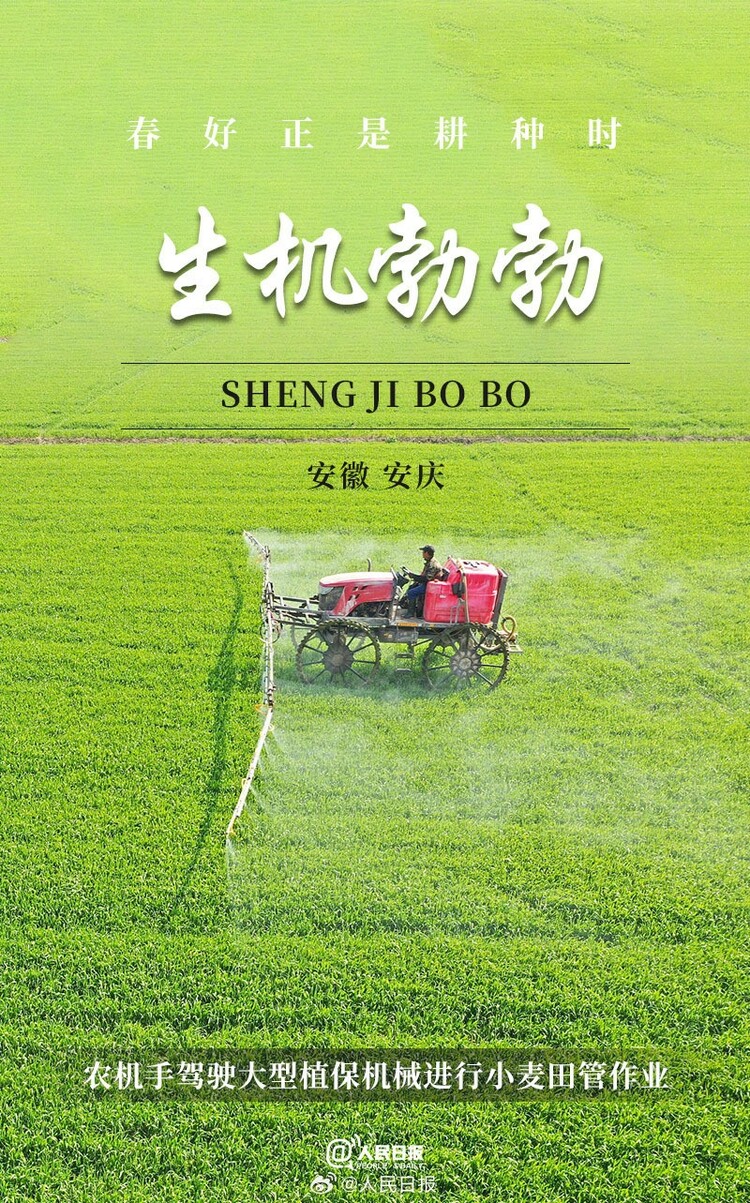 生機(jī)盎然！用課本封面打開春耕畫卷