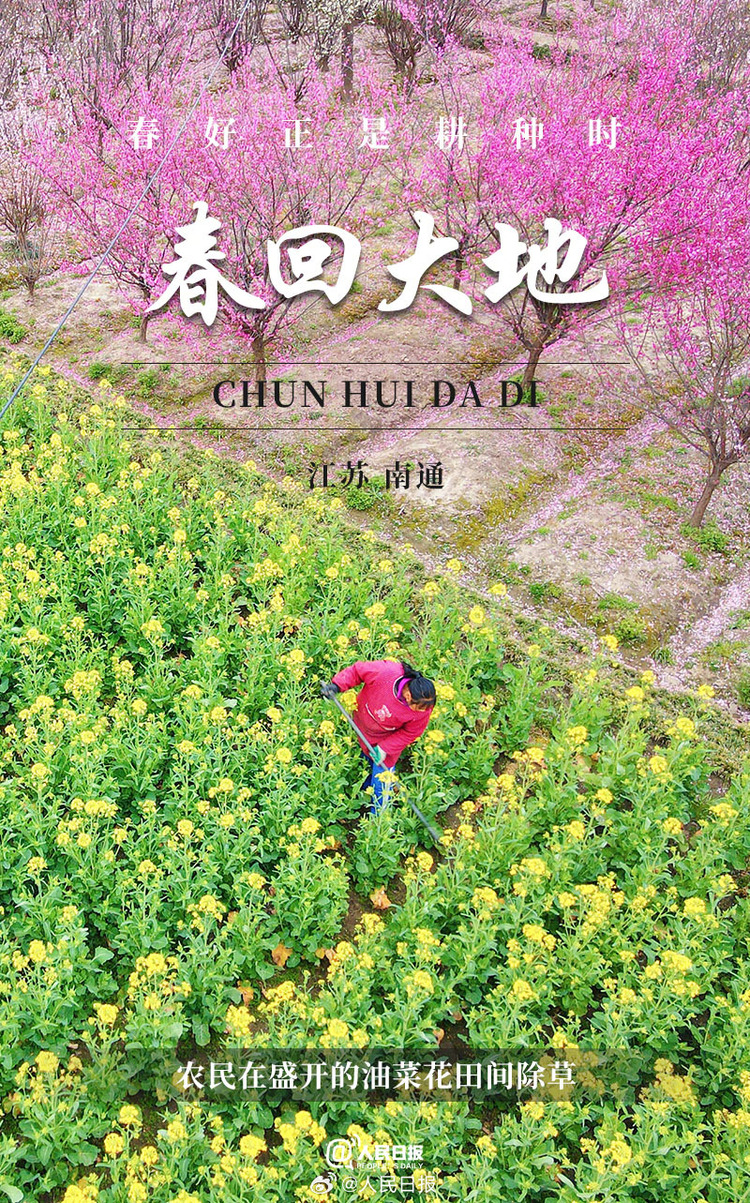 生機(jī)盎然！用課本封面打開春耕畫卷