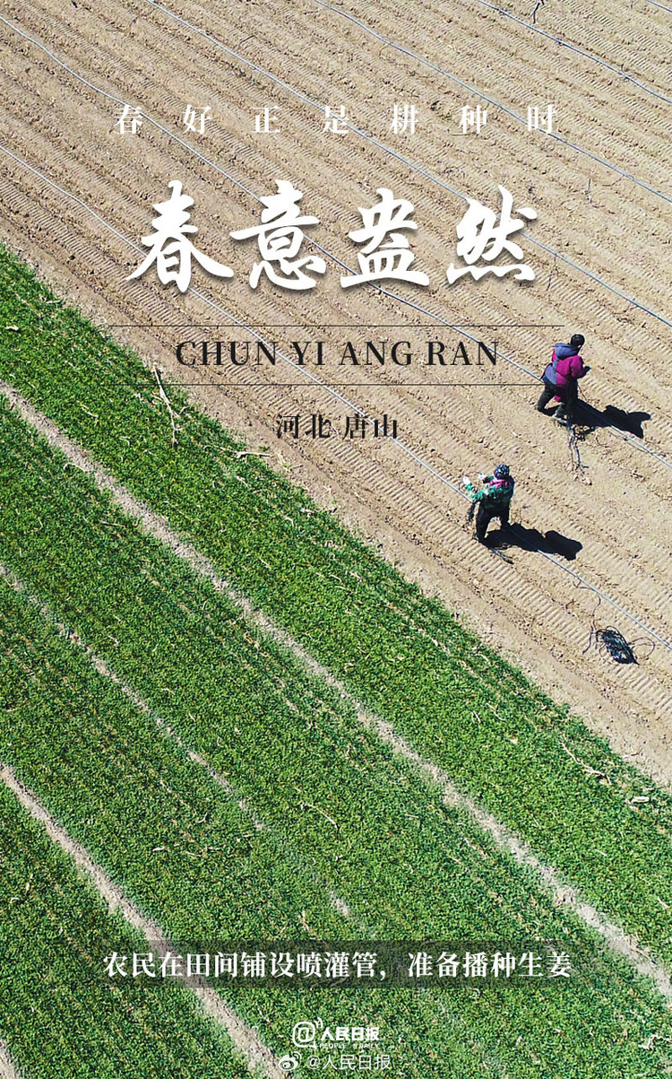 生機(jī)盎然！用課本封面打開春耕畫卷