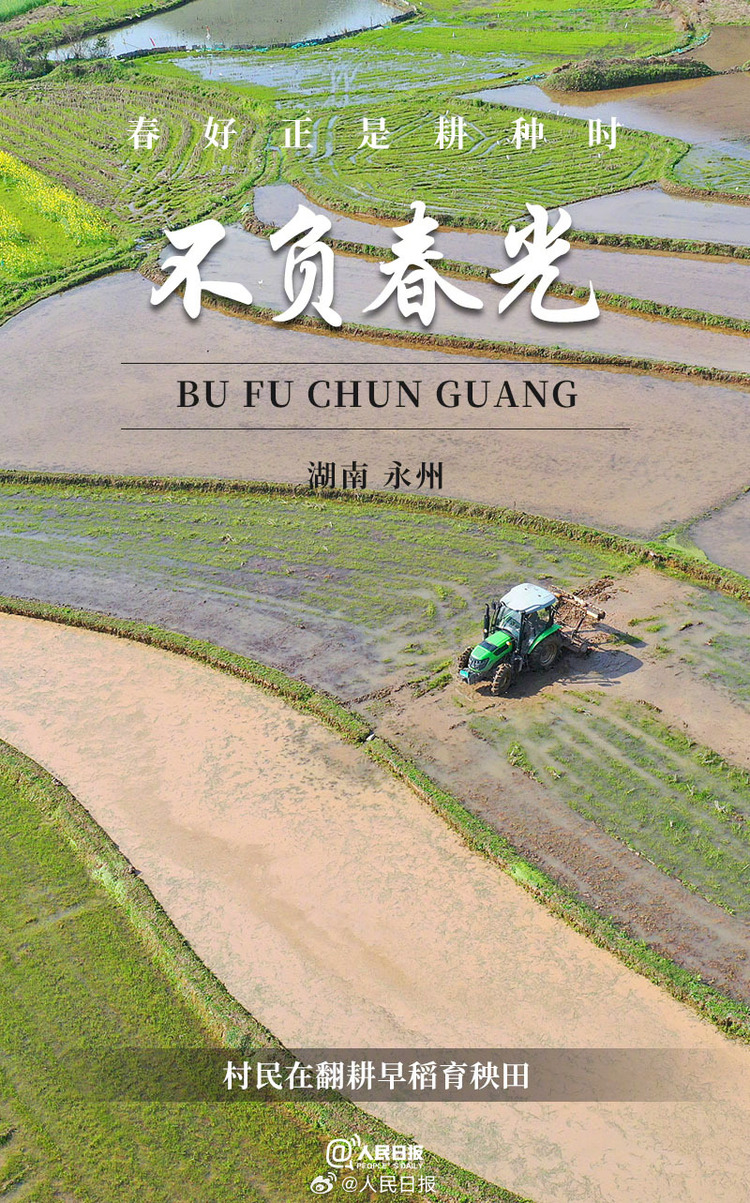 生機(jī)盎然！用課本封面打開春耕畫卷