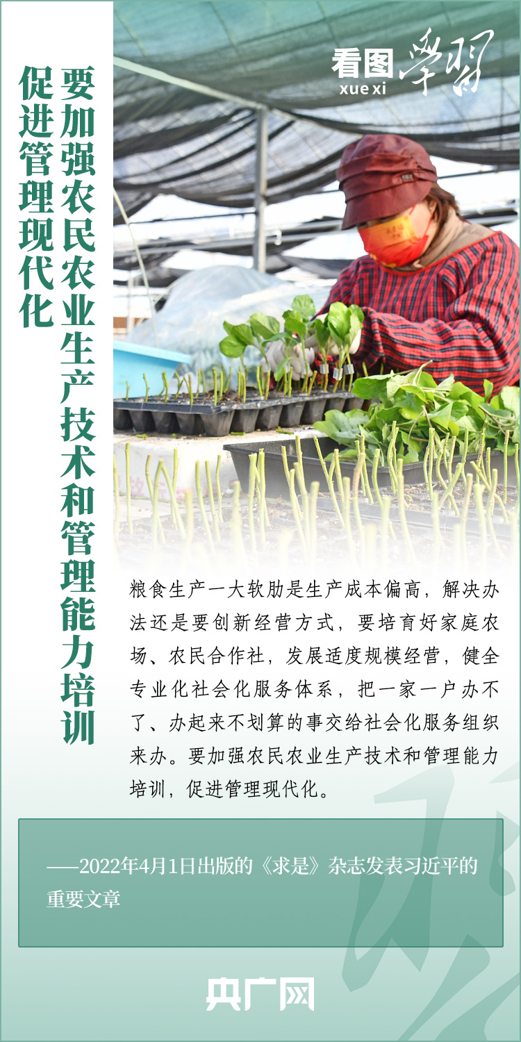 看圖學(xué)習(xí)丨推廣良田、良種、良法、良機(jī) 給農(nóng)業(yè)現(xiàn)代化插上科技的翅膀