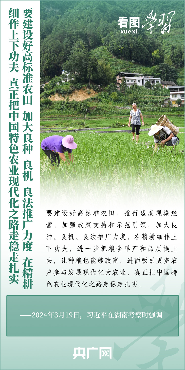 看圖學(xué)習(xí)丨推廣良田、良種、良法、良機(jī) 給農(nóng)業(yè)現(xiàn)代化插上科技的翅膀
