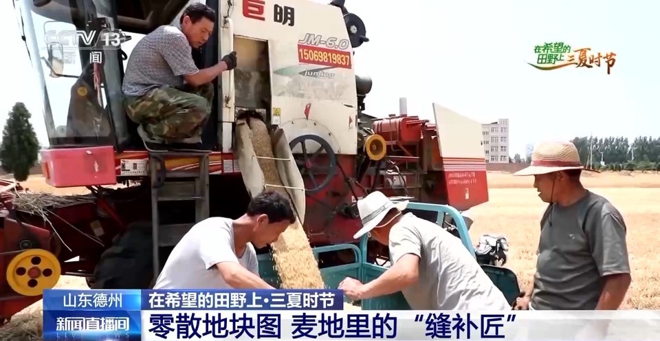 “三夏”生產(chǎn)思維導(dǎo)圖安排上了！還有政府大院等你來“曬”