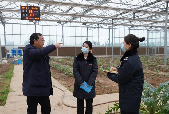 稅務(wù)干部走進常德市西洞庭管理區(qū)的朝鮮薊種植基地，宣傳稅費優(yōu)惠政策，助力農(nóng)企搶農(nóng)時、抓春耕、穩(wěn)增長。吳家豪攝
