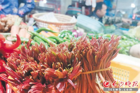 　　農(nóng)貿(mào)市場(chǎng)里鮮嫩的香椿?！　【鶠殚L(zhǎng)沙晚報(bào)全媒體記者 劉捷萍 攝