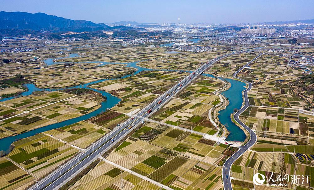 寧波市北侖區(qū)柴橋街道的萬畝花田猶如打翻的調(diào)色盤。人民網(wǎng) 章勇濤攝