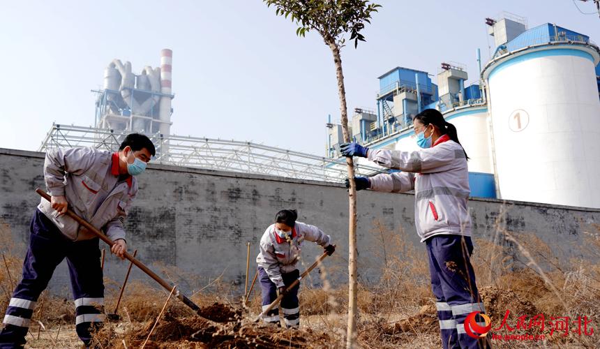 邢臺金隅職工在石邢公路沿線植樹。 宋繼昌攝