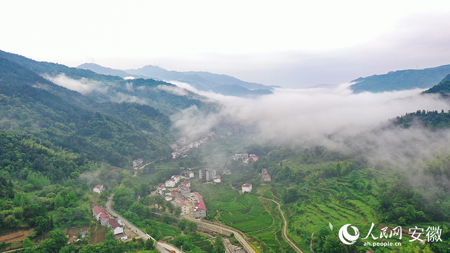 雨后的金寨大灣村，云霧環(huán)繞，宛如一幅田園山水畫卷。人民網(wǎng) 張俊攝