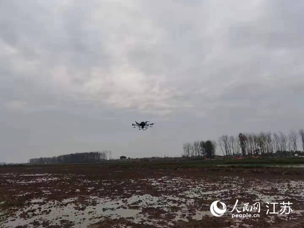 勝利圩高標(biāo)準(zhǔn)農(nóng)田進(jìn)行無人機(jī)水稻播種。陽江鎮(zhèn)供圖