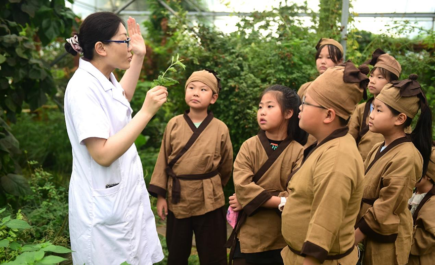 參加活動的孩子聆聽滄州市人民醫(yī)院國醫(yī)館中醫(yī)對中藥材的講解。 傅新春攝
