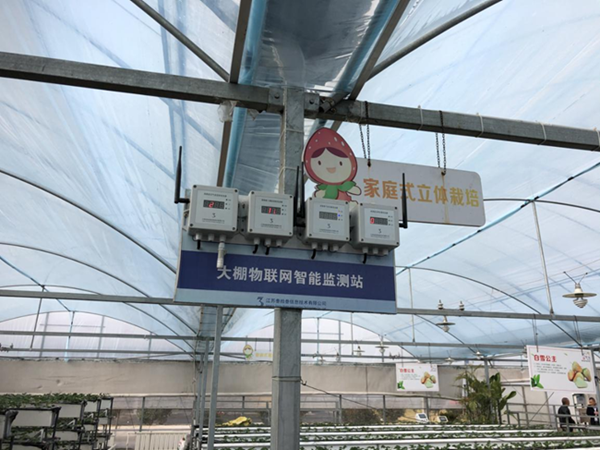 都市四季果園內(nèi)的物聯(lián)網(wǎng)智能監(jiān)測站系統(tǒng)。東?？h委宣傳部供圖