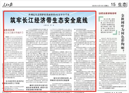 人民日報(bào)。截圖