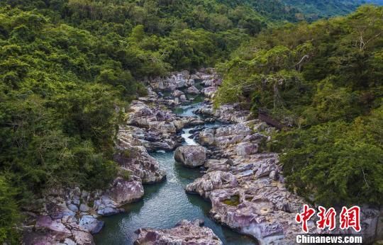 2018年海南生態(tài)環(huán)境狀況等級(jí)為“優(yōu)”，植被覆蓋率高，生物多樣性豐富，生態(tài)系統(tǒng)穩(wěn)定，圖為海南中部熱帶雨林?！●樤骑w　攝