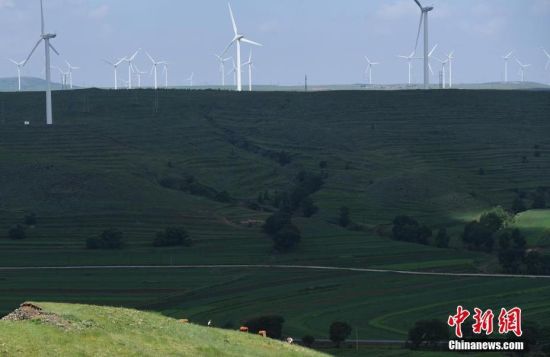 6月28日，河北張家口張北草原上大片風力發(fā)電的“風車”規(guī)模宏大。 中新社記者 楊艷敏 攝