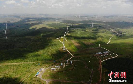 6月28日，河北張家口張北草原上大片風力發(fā)電的“風車”規(guī)模宏大。 中新社記者 楊艷敏 攝