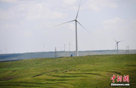 6月28日，河北張家口張北草原上大片風力發(fā)電的“風車”規(guī)模宏大。 中新社記者 楊艷敏 攝
