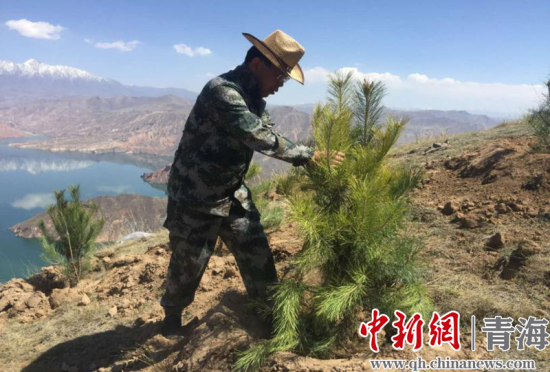 圖為尖扎干部職工生態(tài)建設(shè)和環(huán)境保護現(xiàn)場。尖宣 供圖