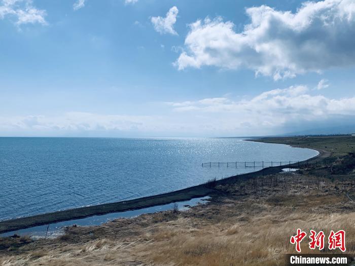 圖為青海湖畔。(資料圖) 張傲 攝