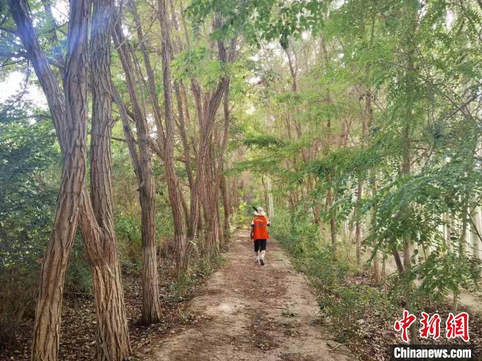 戈壁灘上的護(hù)林員：以前風(fēng)吹睜不開眼，現(xiàn)在滿眼皆綠色